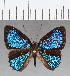  ( - CFC13233)  @11 [ ] Copyright (2019) Christer Fahraeus Center For Collection-Based Research