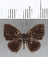 ( - CFC13302)  @11 [ ] Copyright (2019) Christer Fahraeus Center For Collection-Based Research