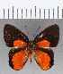  ( - CFC13328)  @11 [ ] Copyright (2019) Christer Fahraeus Center For Collection-Based Research