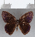  ( - CFC13337)  @11 [ ] Copyright (2019) Christer Fahraeus Center For Collection-Based Research