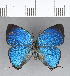  ( - CFC13356)  @11 [ ] Copyright (2018) Christer Fahraeus Center For Collection-Based Research