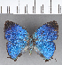  ( - CFC13357)  @11 [ ] Copyright (2018) Christer Fahraeus Center For Collection-Based Research