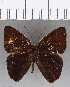  ( - CFC13373)  @11 [ ] Copyright (2019) Christer Fahraeus Center For Collection-Based Research