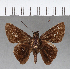  ( - CFC13423)  @13 [ ] Copyright (2018) Christer Fahraeus Center For Collection-Based Research