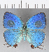  ( - CFC13440)  @11 [ ] Copyright (2018) Christer Fahraeus Center For Collection-Based Research