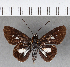  ( - CFC13445)  @11 [ ] Copyright (2018) Christer Fahraeus Center For Collection-Based Research