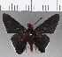  ( - CFC13465)  @11 [ ] Copyright (2019) Christer Fahraeus Center For Collection-Based Research