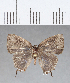  ( - CFC13503)  @11 [ ] Copyright (2018) Christer Fahraeus Center For Collection-Based Research