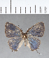  ( - CFC13524)  @11 [ ] Copyright (2018) Christer Fahraeus Center For Collection-Based Research