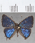  ( - CFC13538)  @11 [ ] copyright (2020) Christer Fahraeus Center For Collection-Based Research