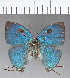  ( - CFC13590_2)  @11 [ ] Copyright (2019) Christer Fahraeus Center For Collection-Based Research