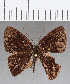  ( - CFC13609)  @11 [ ] Copyright (2019) Christer Fahraeus Center For Collection-Based Research