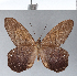  ( - CFC01362_2)  @11 [ ] Copyright (2019) Christer Fahraeus Center For Collection-Based Research