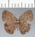  ( - CFC13626)  @11 [ ] copyright (2022) Center For Collection-Based Research Center For Collection-Based Research