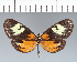  ( - CFC13652)  @11 [ ] copyright (2022) Center For Collection-Based Research Center For Collection-Based Research