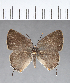  ( - CFC13716)  @11 [ ] Copyright (2018) Christer Fahraeus Center For Collection-Based Research