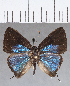  ( - CFC13722)  @11 [ ] Copyright (2019) Christer Fahraeus Center For Collection-Based Research