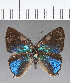  ( - CFC13748)  @11 [ ] Copyright (2018) Christer Fahraeus Center For Collection-Based Research