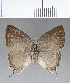  ( - CFC13764)  @11 [ ] Copyright (2018) Christer Fahraeus Center For Collection-Based Research