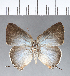  ( - CFC13787)  @11 [ ] Copyright (2018) Christer Fahraeus Center For Collection-Based Research