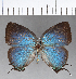  ( - CFC13789)  @11 [ ] Copyright (2018) Christer Fahraeus Center For Collection-Based Research
