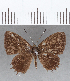  ( - CFC13803)  @11 [ ] Copyright (2019) Christer Fahraeus Center For Collection-Based Research