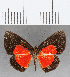  ( - CFC13827)  @11 [ ] Copyright (2019) Christer Fahraeus Center For Collection-Based Research