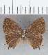  ( - CFC13831)  @11 [ ] Copyright (2019) Christer Fahraeus Center For Collection-Based Research
