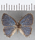  ( - CFC13840)  @11 [ ] Copyright (2019) Christer Fahraeus Center For Collection-Based Research