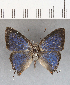  ( - CFC13849_2)  @11 [ ] Copyright (2019) Christer Fahraeus Center For Collection-Based Research