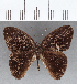  ( - CFC13851)  @11 [ ] Copyright (2019) Christer Fahraeus Center For Collection-Based Research