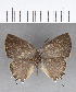  ( - CFC13916)  @11 [ ] Copyright (2018) Christer Fahraeus Center For Collection-Based Research