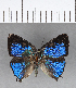  ( - CFC13938)  @11 [ ] Copyright (2018) Christer Fahraeus Center For Collection-Based Research