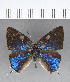  ( - CFC13940)  @11 [ ] Copyright (2018) Christer Fahraeus Center For Collection-Based Research