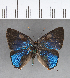  ( - CFC13943_2)  @11 [ ] Copyright (2019) Christer Fahraeus Center For Collection-Based Research