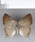  ( - CFC13975)  @11 [ ] Copyright (2018) Christer Fahraeus Center For Collection-Based Research