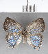  ( - CFC13981)  @11 [ ] Copyright (2018) Christer Fahraeus Center For Collection-Based Research