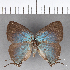  ( - CFC13996)  @11 [ ] Copyright (2018) Christer Fahraeus Center For Collection-Based Research