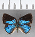  ( - CFC14001)  @11 [ ] Copyright (2018) Christer Fahraeus Center For Collection-Based Research