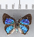  ( - CFC14005)  @11 [ ] Copyright (2018) Christer Fahraeus Center For Collection-Based Research