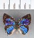  ( - CFC14014)  @11 [ ] Copyright (2018) Christer Fahraeus Center For Collection-Based Research