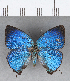  ( - CFC14042)  @11 [ ] Copyright (2018) Christer Fahraeus Center For Collection-Based Research