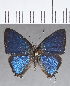  ( - CFC14111)  @11 [ ] Copyright (2019) Christer Fahraeus Center For Collection-Based Research