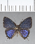  ( - CFC14113)  @11 [ ] Copyright (2018) Christer Fahraeus Center For Collection-Based Research
