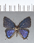  ( - CFC14115)  @11 [ ] Copyright (2018) Christer Fahraeus Center For Collection-Based Research