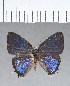  ( - CFC14117)  @11 [ ] Copyright (2018) Christer Fahraeus Center For Collection-Based Research
