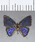  ( - CFC14118)  @11 [ ] Copyright (2018) Christer Fahraeus Center For Collection-Based Research