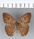  ( - CFC01416)  @11 [ ] Copyright (2018) Christer Fahraeus Center For Collection-Based Research