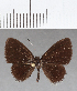  ( - CFC14201)  @11 [ ] Copyright (2019) Christer Fahraeus Center For Collection-Based Research