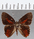  ( - CFC14222)  @11 [ ] Copyright (2019) Christer Fahraeus Center For Collection-Based Research